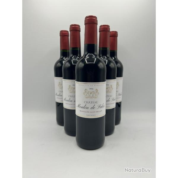 Vente flash ! 6 Bouteilles de vin rouge - Ch�teau Moulin de Sales Montagne Saint-Emilion - 2023