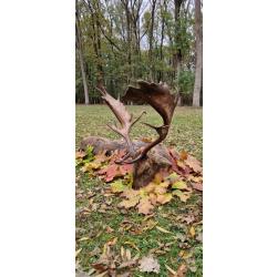 La chasse du daim en Hongrie