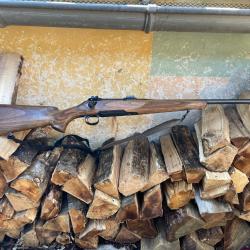 Carabine sauer 100 bois calibre 30-06