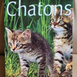La Passion des Chatons - Gr&uuml;nd