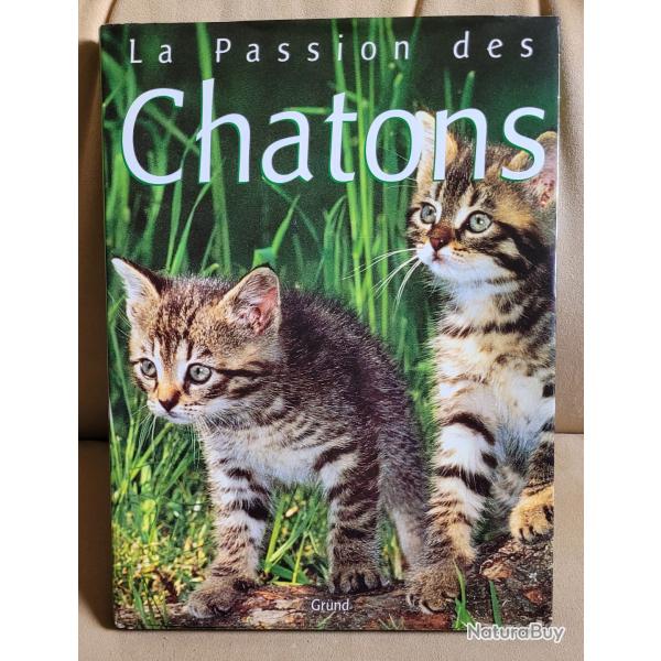 La Passion des Chatons - Gr�nd