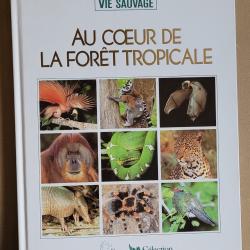 Au Coeur de la For&ecirc;t Tropicale