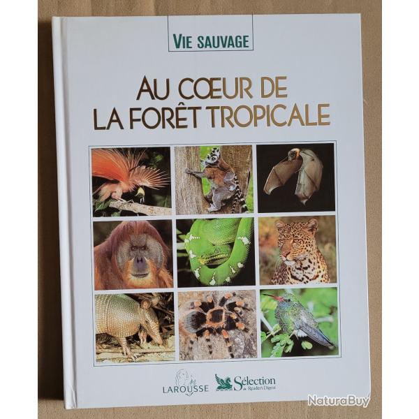 Au Coeur de la For�t Tropicale