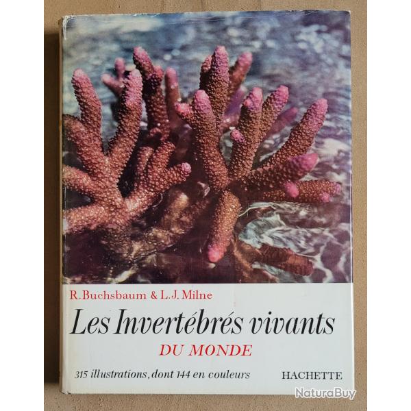 Les Invert�br�s Vivants du Monde HACHETTE (1966)