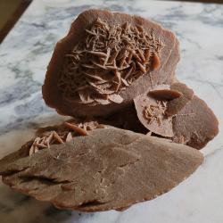 MINERALOGIE: Vends Tr&egrave;s belle Rose des Sables (Origine SAHARA)