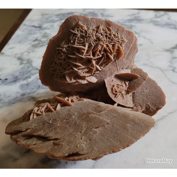 MINERALOGIE: Vends Tr�s belle Rose des Sables (Origine SAHARA)