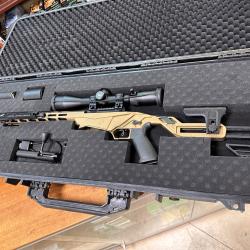 Ruger Pr&eacute;cision Rimfire 22 lr