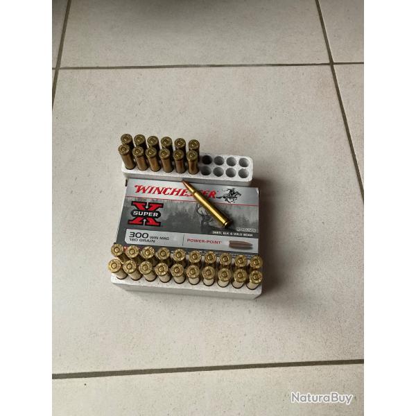 balles 300 WINCHESTER MAG