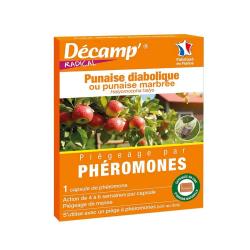 Ph&eacute;romones anti-punaises diaboliques - 1 capsule - Efficacit&eacute; 4 &agrave; 6 semaines