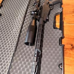 Ruger Rimfire 22lr+ Vortex Venom