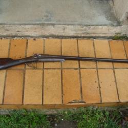 FUSIL CHIEN PERCUTION CENTRALE CAL 16