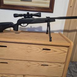 Carabine a plomb gamo