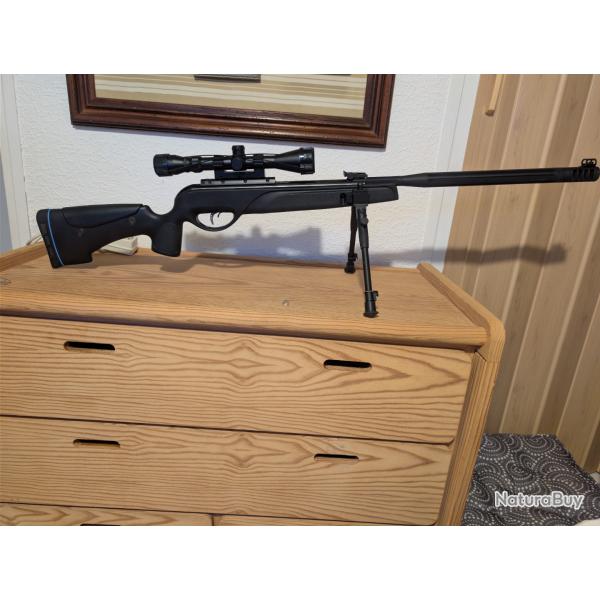 Carabine a plomb gamo