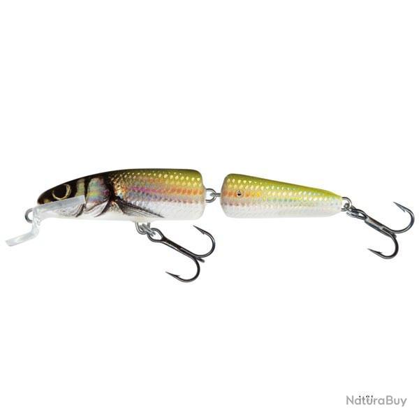 Poisson Nageur Salmo Fanatic 7cm Floating 5g 7cm HBL - Holo Bleak