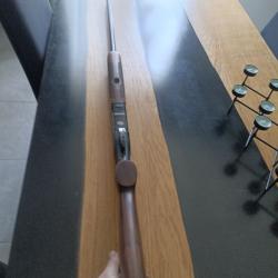 Franchi feeling sporting calibre 12.