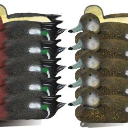 Pack 10 appelants canards siffleurs mouss&eacute;s m&acirc;le et femelle