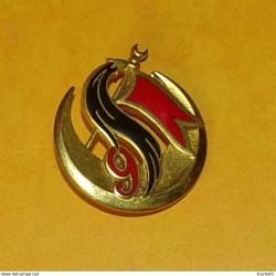 9&deg; Groupe d'Escadrons de Spahis Alg&eacute;riens, dos lisse plat, 2 anneaux, FABRICANT&nbsp;DRAGO&nbsp;PARIS&nbsp;&nbsp;,HOMOLO