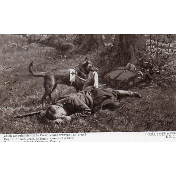CPA - Chien ambulancier se la Croix Rouge trouvant un blesse - N�7589