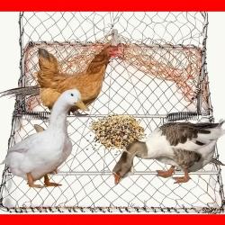 Filet de Chasse pour Pigeons - 58,4 x 48,2 cm  ( Port gratuit )