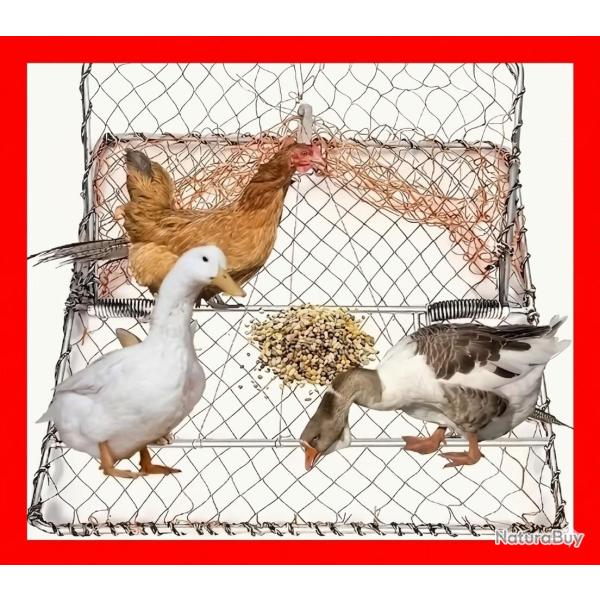 Filet de Chasse pour Pigeons - 58,4 x 48,2 cm  ( Port gratuit )