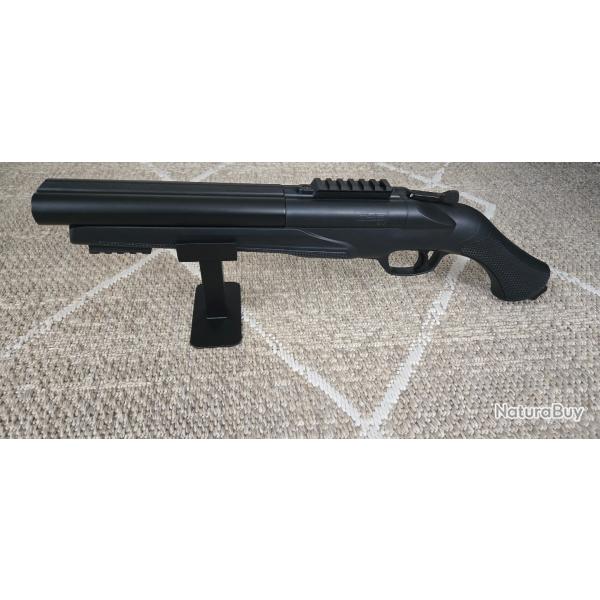 Pr�sentoir pour fusil Umarex HDS 68 & TS 68 Prototype en cours d'am�lioration T4E HDS68 & TS68