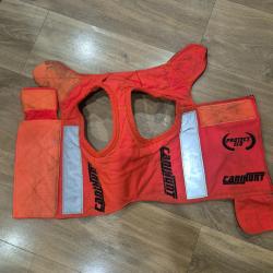 Gilet protection chien chasse