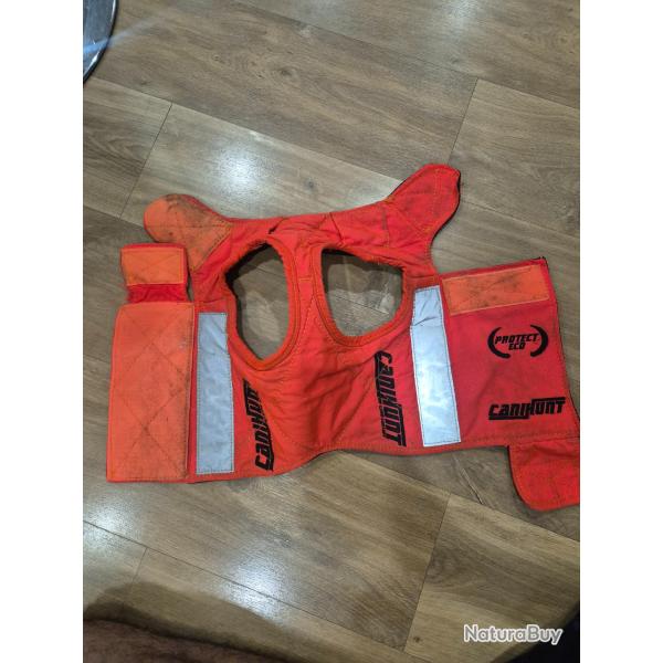 Gilet protection chien chasse