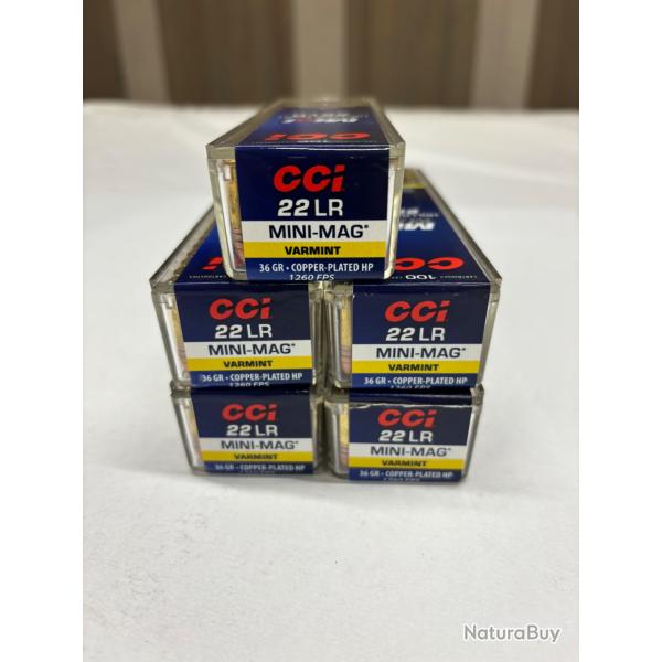 500 munitions 22Lr CCI Mini-Mag