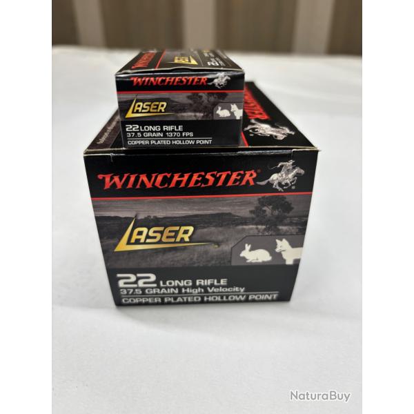 500 Munitions 22Lr Winchester Laser