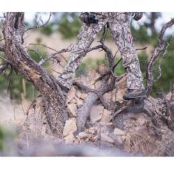 Chaussures CRISPI Summit GTX Brown Grey 44