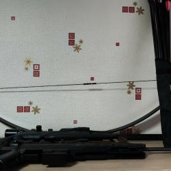 Carabine &agrave; plomb Black ops