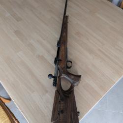 Sauer 101 GTI + Mod&eacute;rateur de son