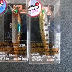 gan minnow