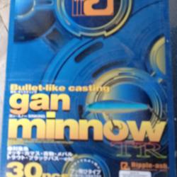 boite gan minnow