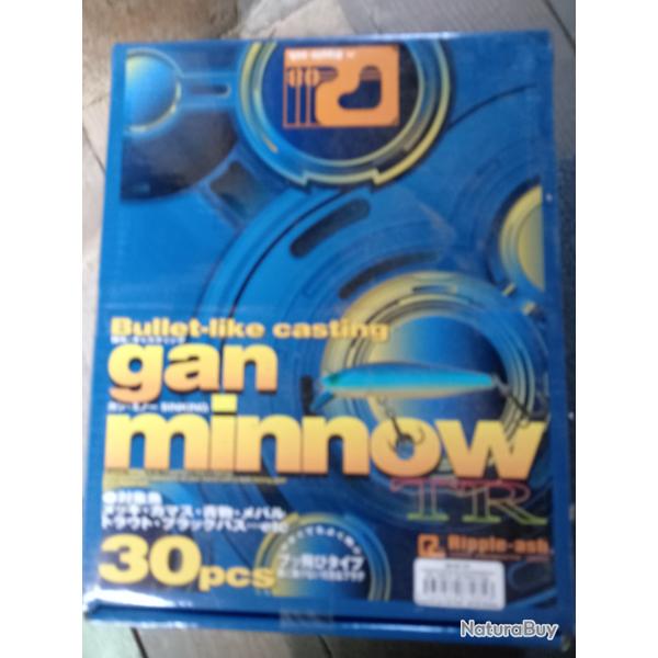 boite gan minnow