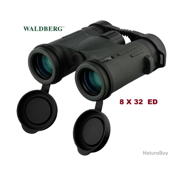 Jumelles Pro 8 X 32  ED -  Waldberg