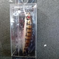 poisson nageur minnow