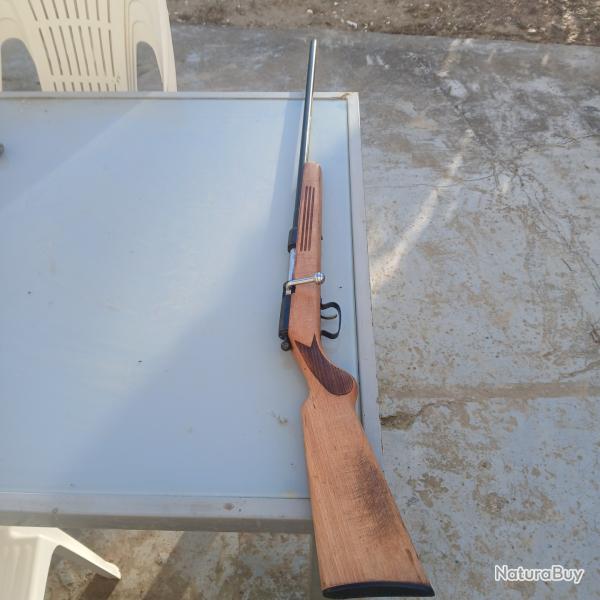 Carabine 410 manuarm