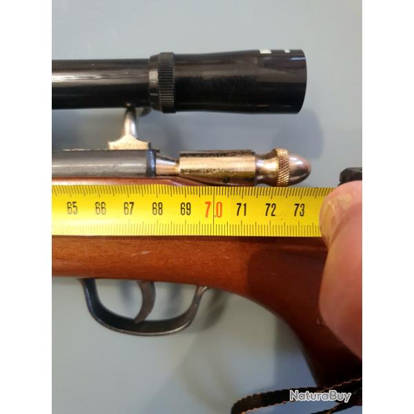 Carabine 1 coup 22Lr avec lunette 4x20 et silencieux