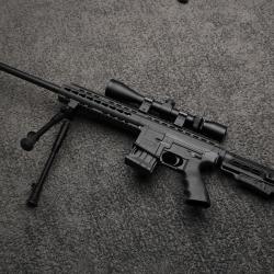 Carabine PALLAS BA-15 Tactical Black "Pack Sniper 3-9x40" cal.22lr