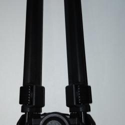 Bipied Magpul picatinny noir