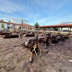 S&eacute;jours Monteria 2026/2027