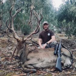 S&eacute;jours Cerf au brame