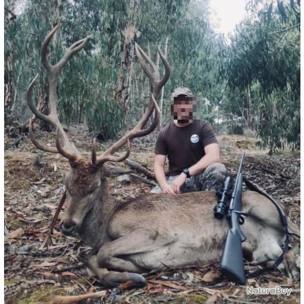 S�jours Cerf au brame