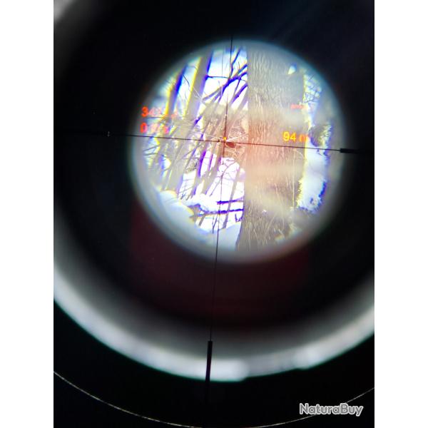 vend lunette Swarovski Ds 2 eme g�n�ration