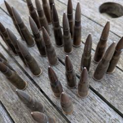 Vends cartouches LEBEL 8x50 r