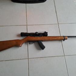 Ruger 10/22 pour le TAR 821