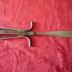 Serpent sans t&ecirc;te