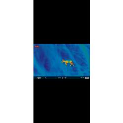 Monoculaire thermique Pulsar Axion XQ30 Pro - Comme neuf