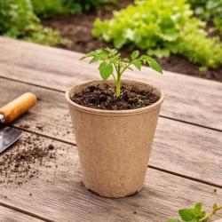24 Pots Biod&eacute;gradables Ronds &Oslash;8 cm pour Semis et Culture